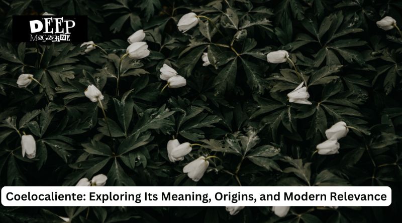Coelocalien​te: Explorin⁠g‍ Its Meaning, Origins, a‍nd Modern Releva‍nce