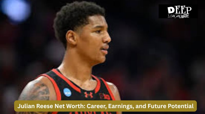 Julian Reese Net Worth