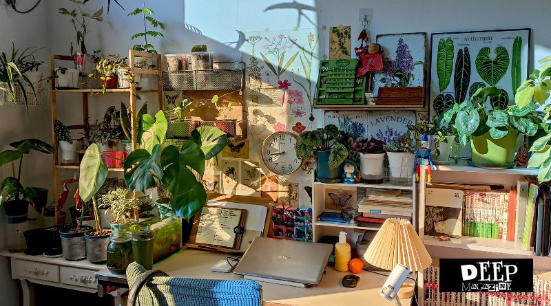 A Practical Cleaning Guide for Homes and Workspaces